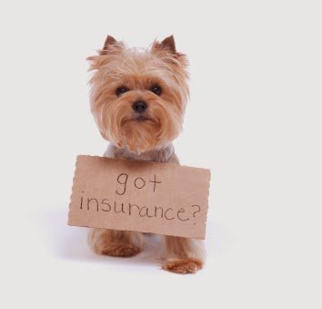 Pet Insurance Plan